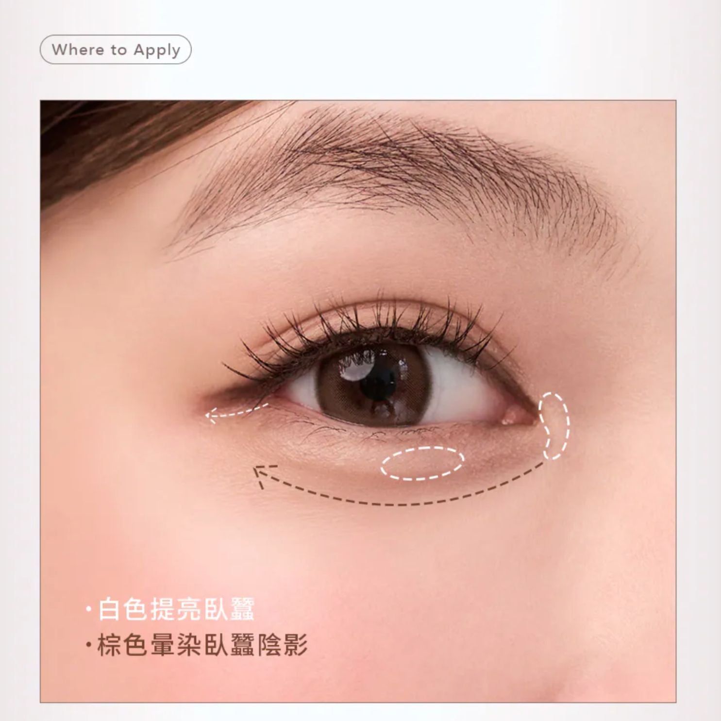 新品✨A.M Fairyland 精巧掌心貼貼刷-SDF-04圓角粉底刷｜圓圓刷【全網站香港現貨】台港同價💯