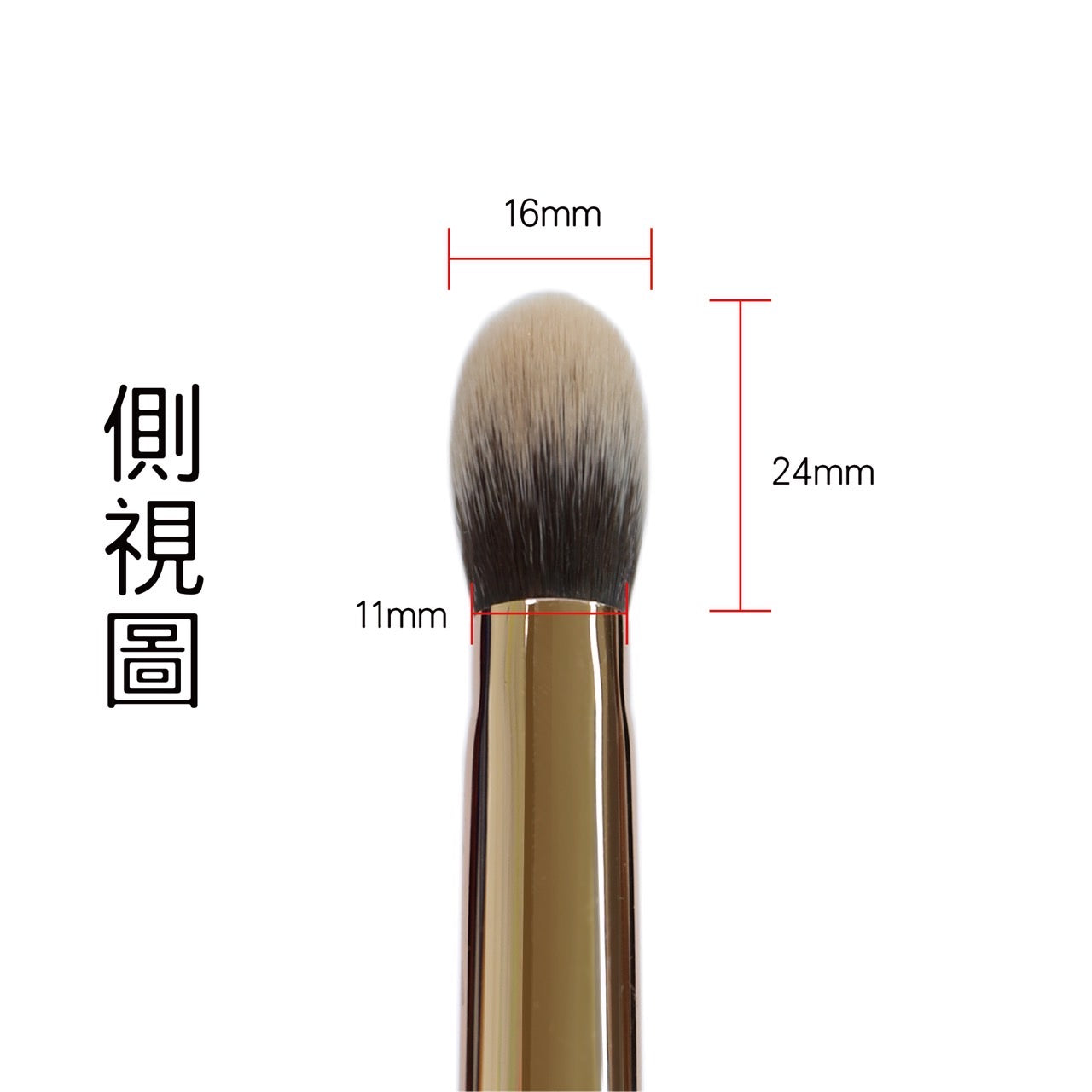 【頂部因射燈照至外盒色差】CelesteTerry 奶凍專用刷F201