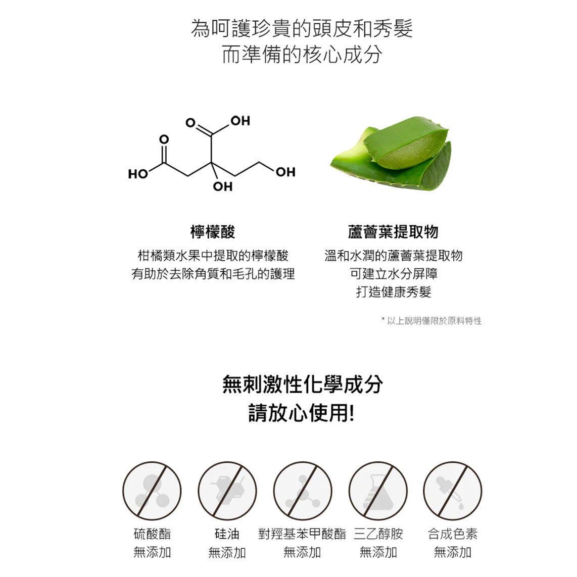 頭皮健康·去頭臭【柑橘茶樹系列】CURLY SHYLL Revitalizing Shampoo 強韌活力洗髮露 500ml【全網現貨】❌不設平郵❌